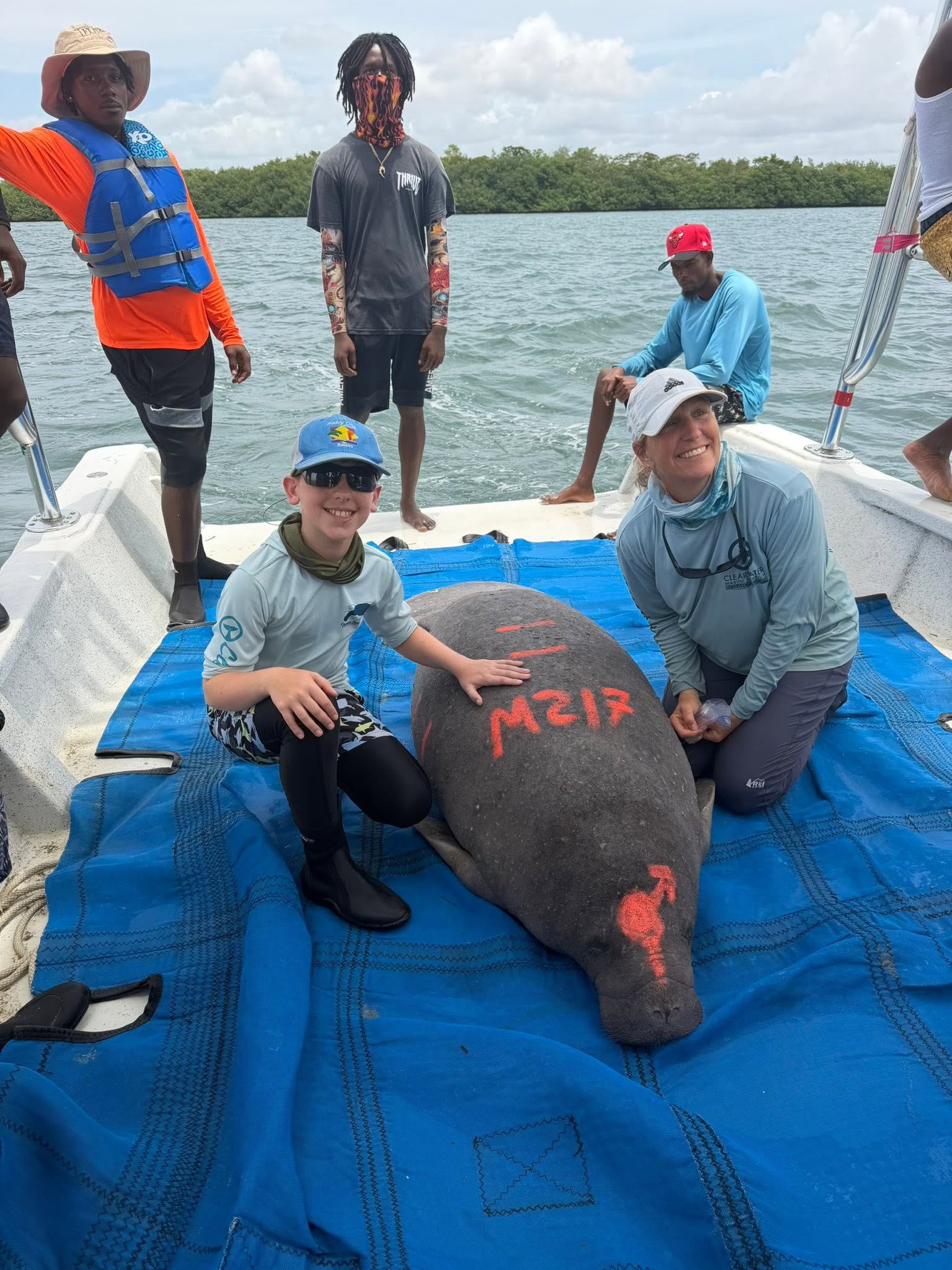 Jacob with a male manatee marked M217 during Belize year two.