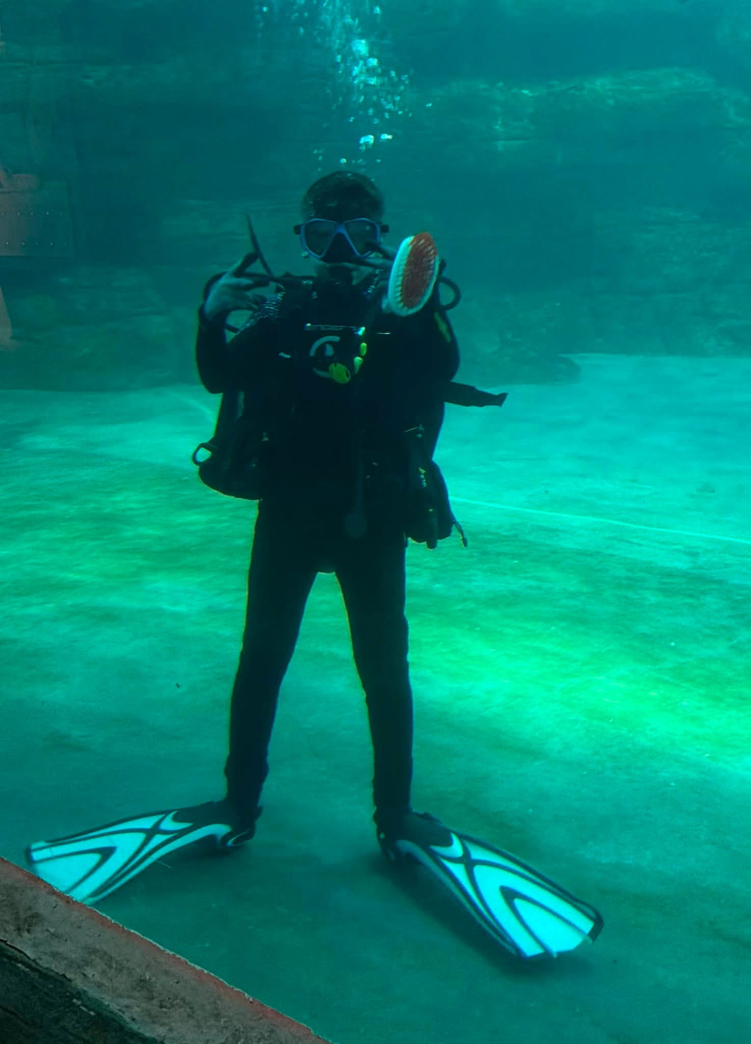 Jacob in scuba gear underwater in a CMA habitat, holding a cleaning brush