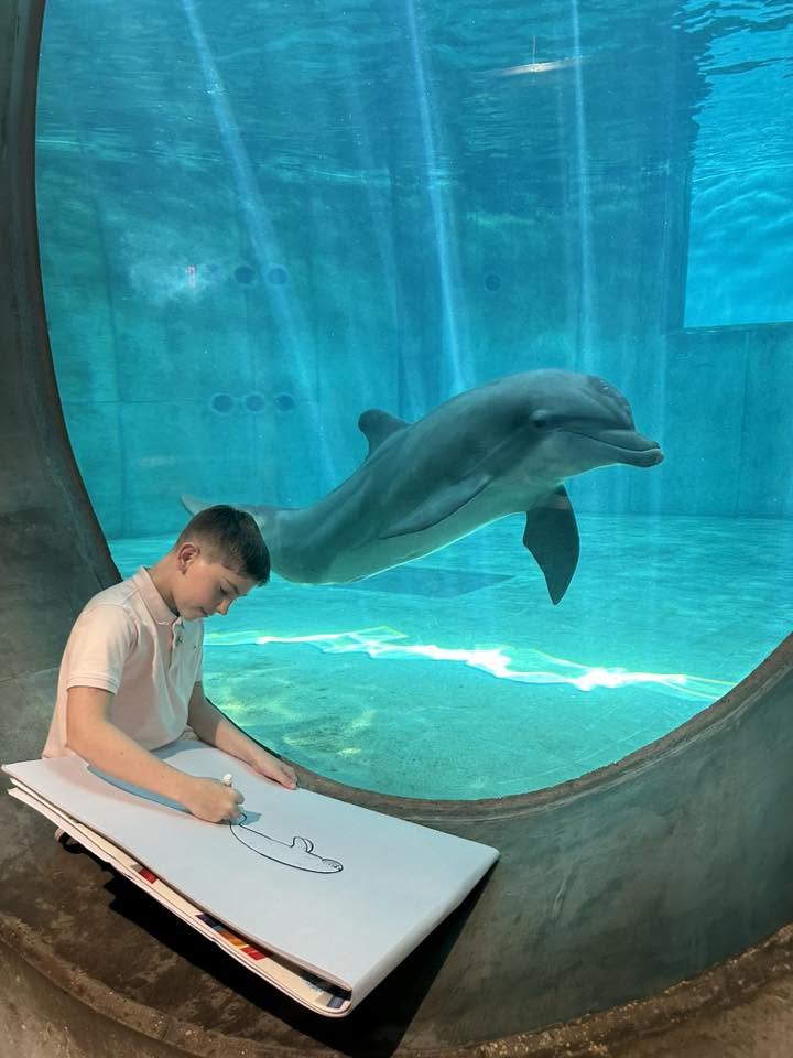 Jacob drawing a dolphin in a sketchbook while a bottlenose dolphin watches from the habitat window
