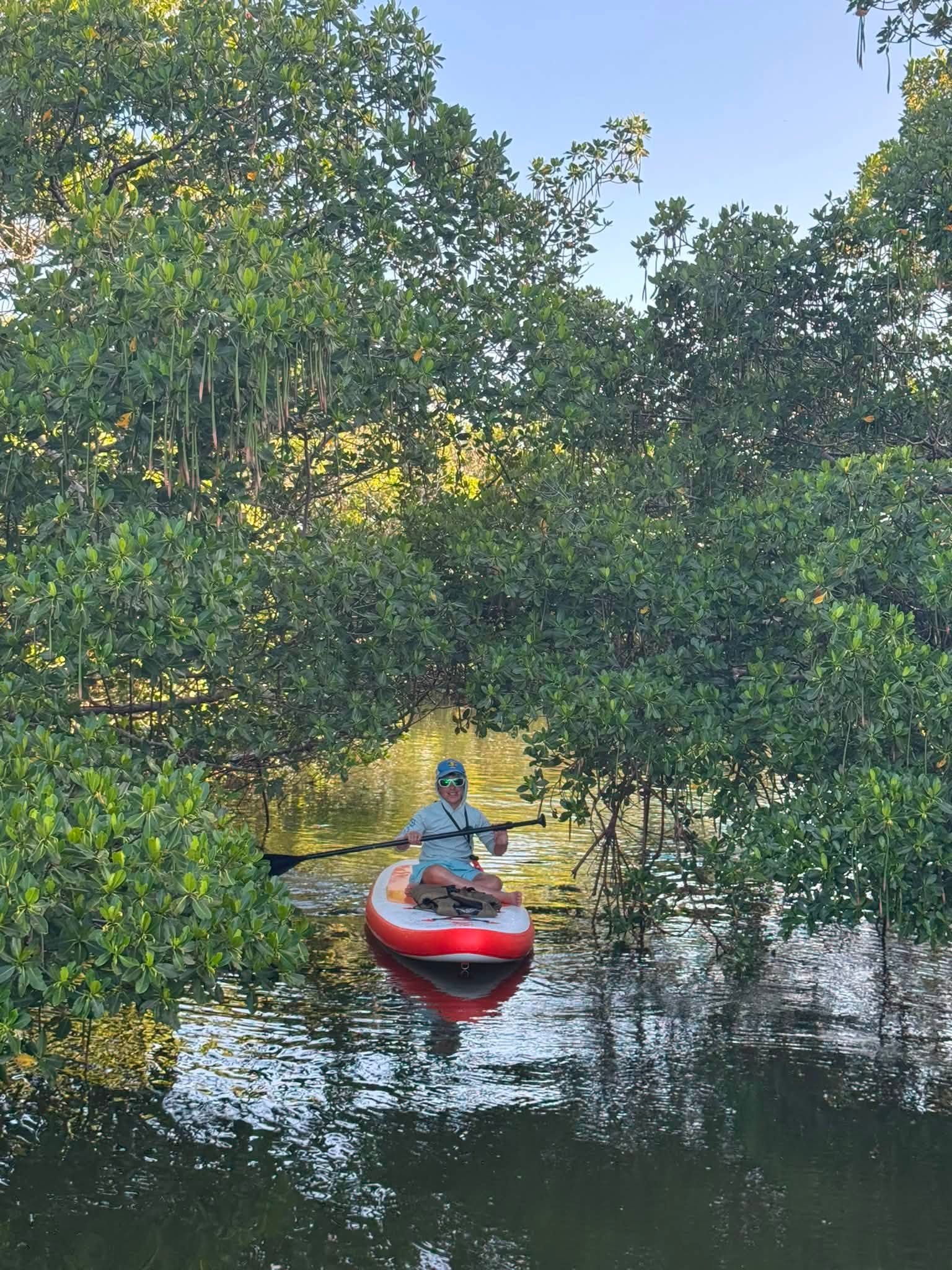 Paddleboarding through mangroves near Clearwater.